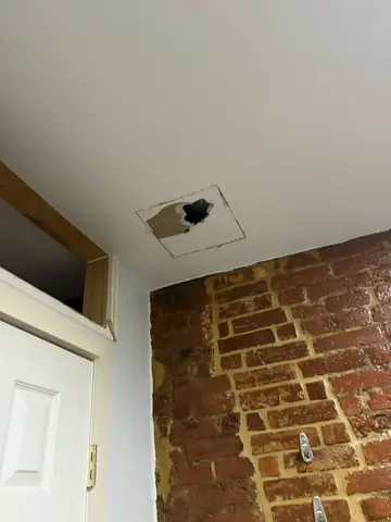Ceiling hole and exposed brick during a leak and plaster repair