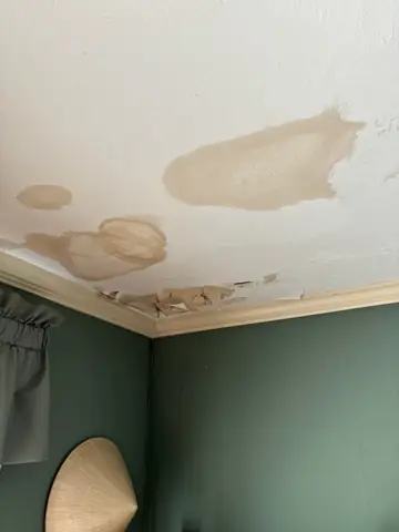 Ceiling water stains in a green room from a roof leak