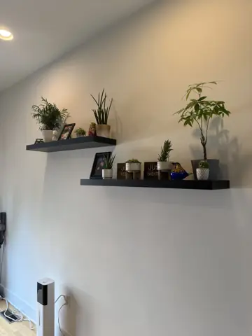 Floating wall shelves installed with plants and decor